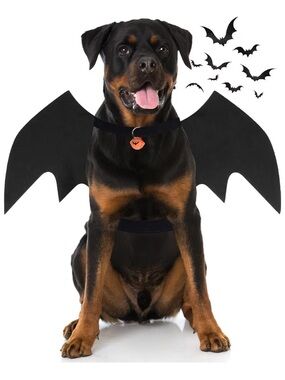 Black Bat Wings Dog Costume - Pet Halloween Costume